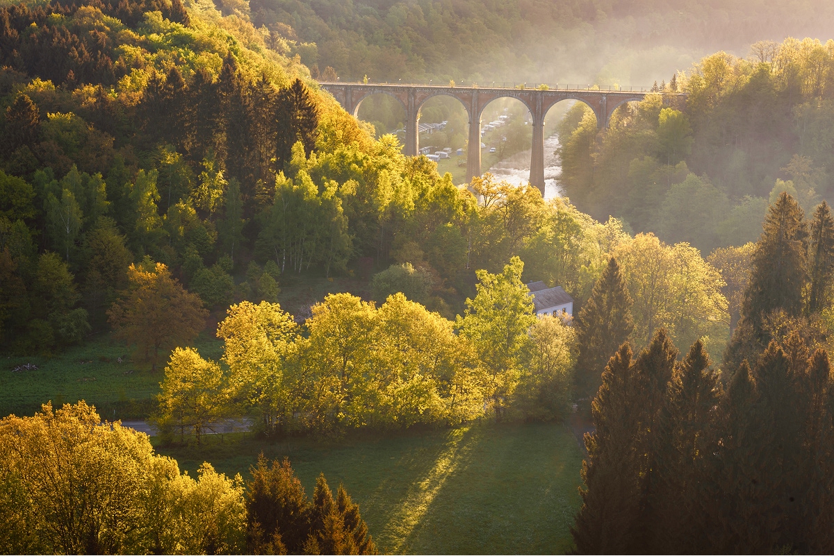 Large valley with tall trees, and a stone bridge in the background