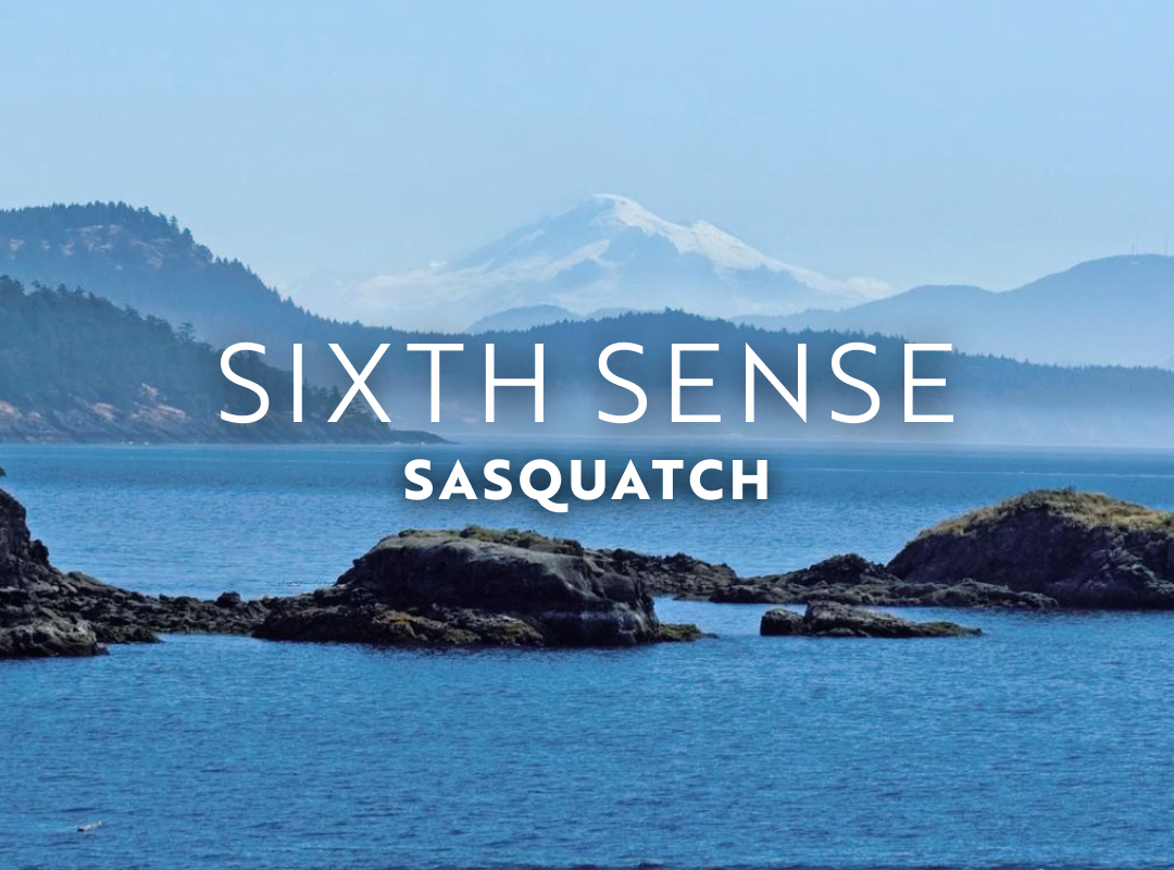 In August, look out for Bigfoot in Washington's Olympic Peninsula