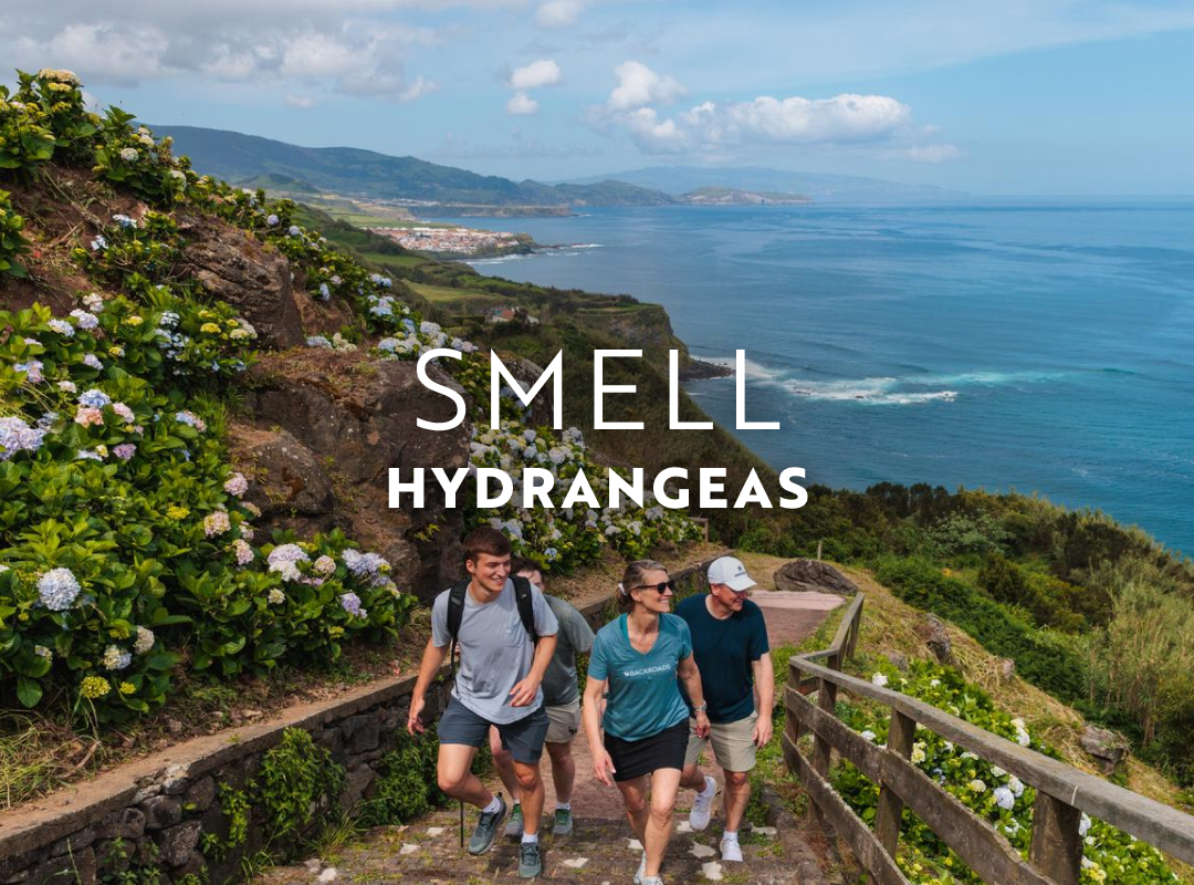 In August, smell the honey-scented hydrangeas of the Azores.