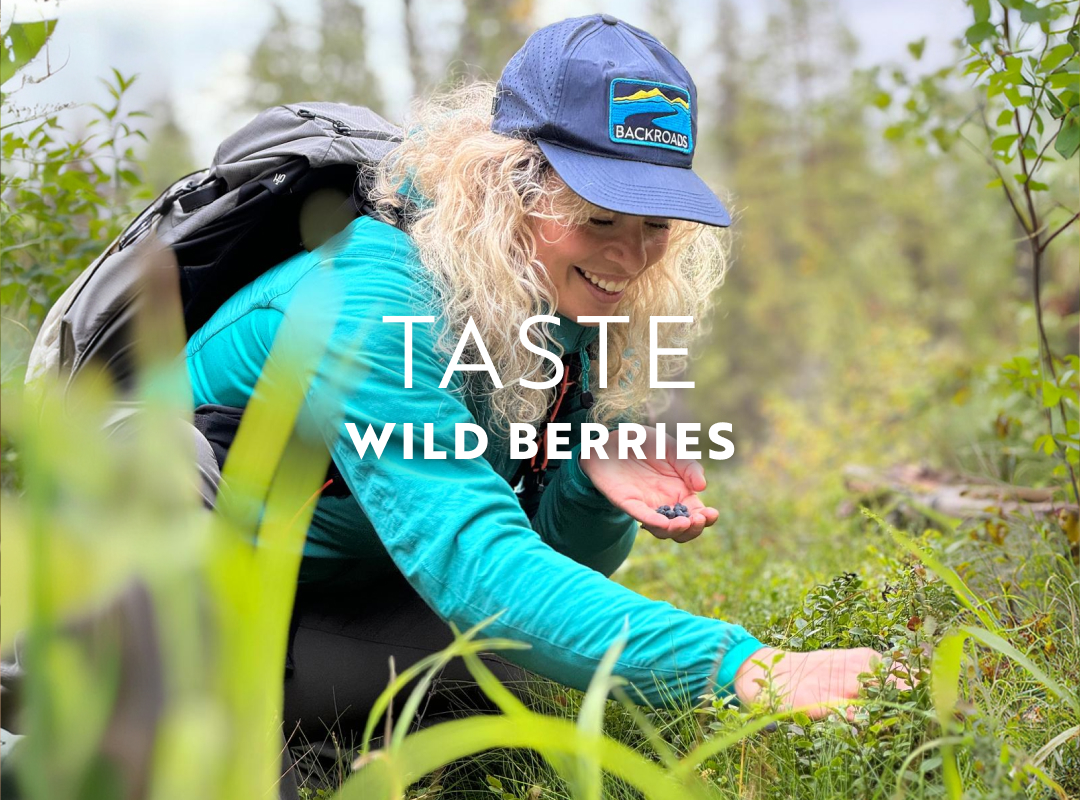 In August, taste the wild berries endemic to Scandinavia.