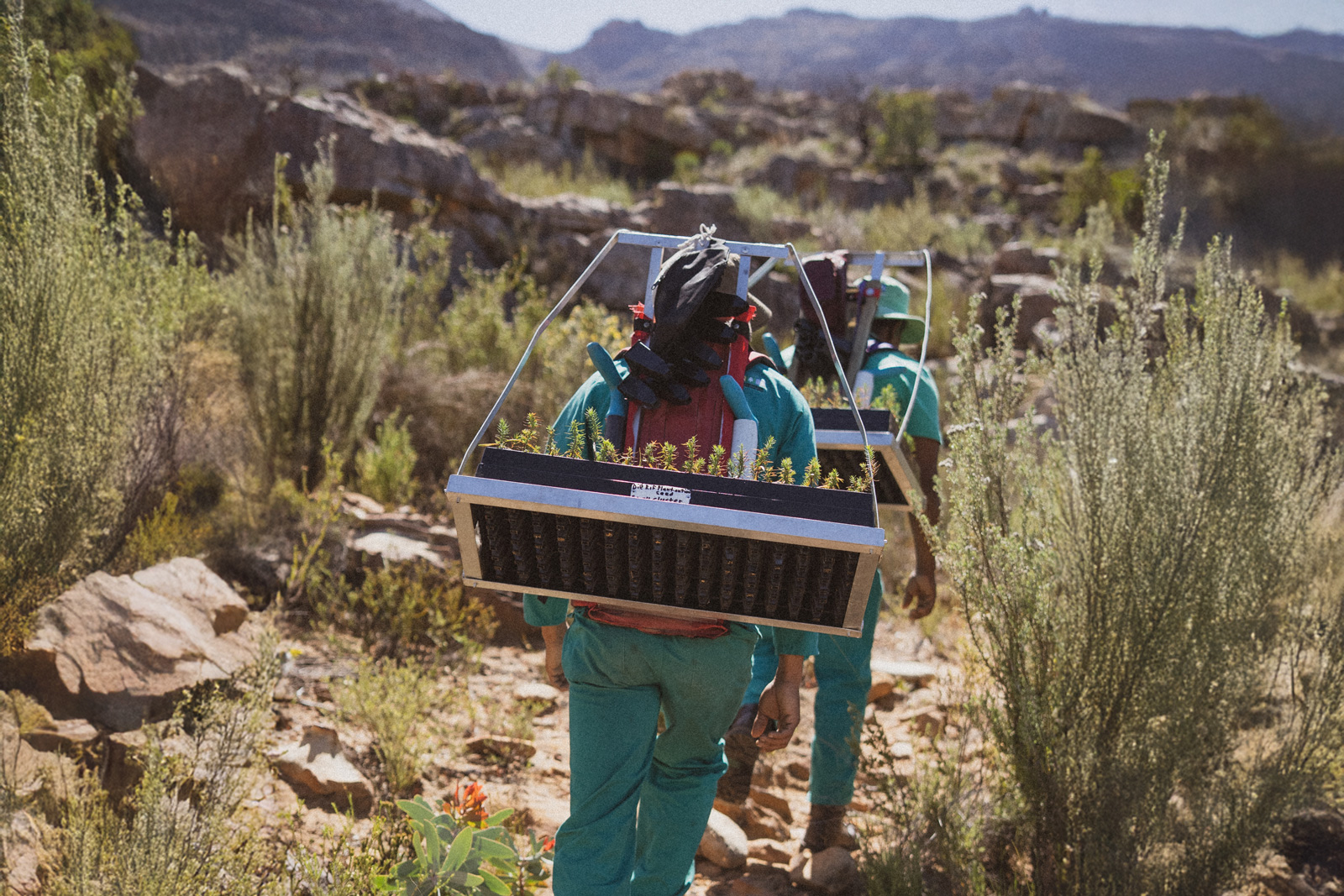 Two people walking with garden planters on their backs