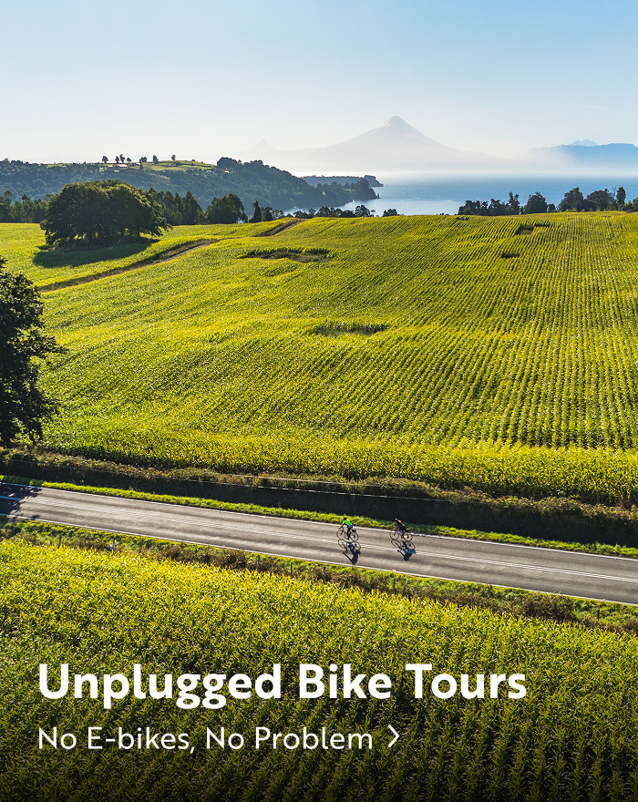 Two cyclists riding on a road through vineyards. Unplugged bike tours, no e-bikes, no problem.
