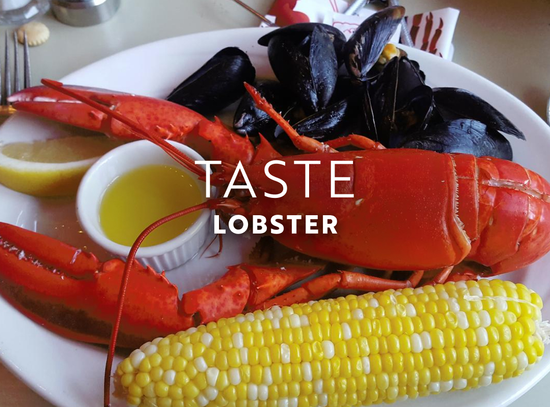 In June, taste delicate lobster meat in Maine.