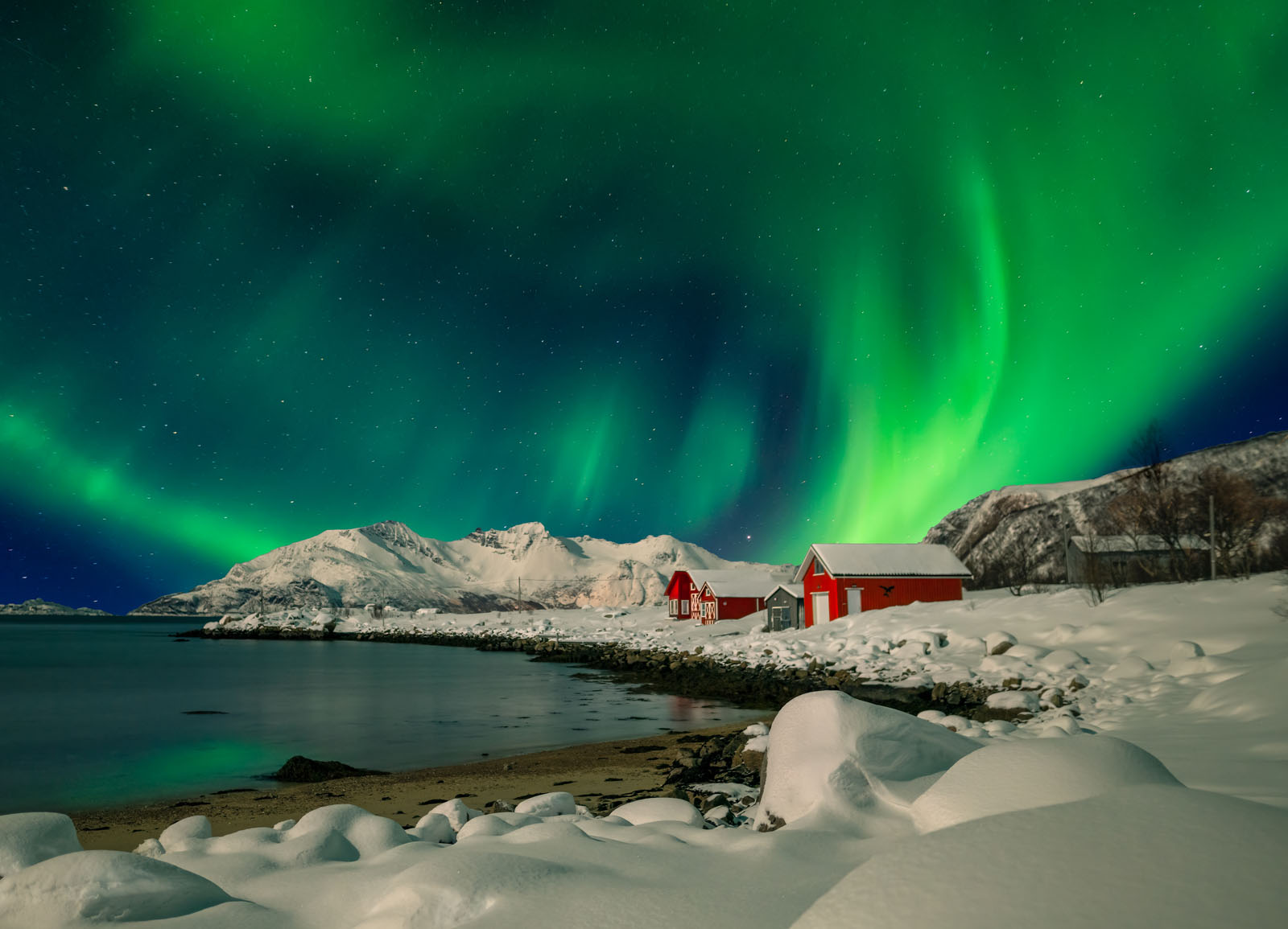 極希少◆北欧メロディアスAOR◆DRAMA/ESCAPADES Norway's Tromso to Alta Winter Adventure Trip | Backroads