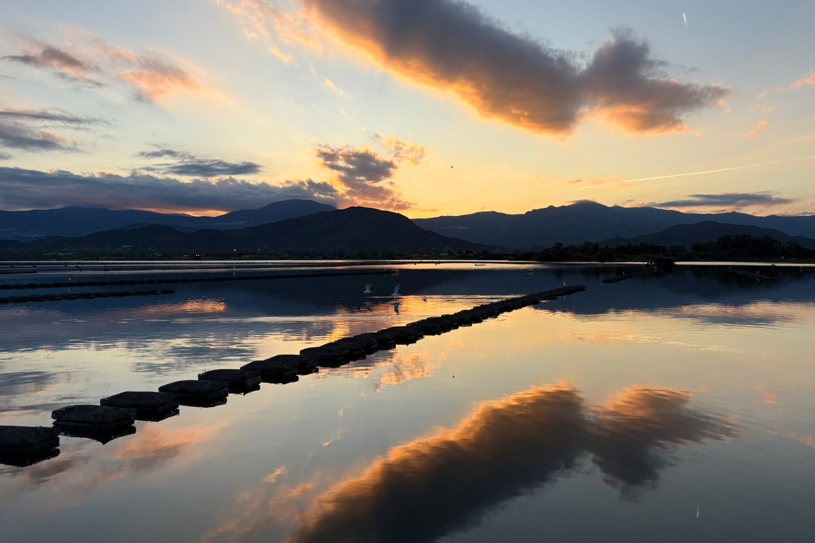 Water landscape