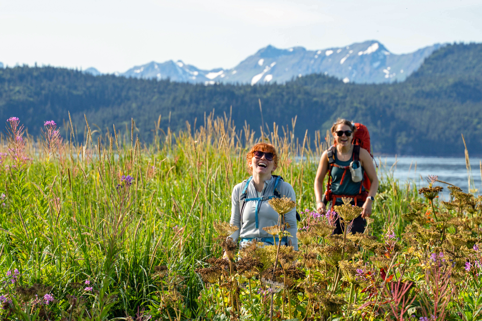 Two hikers in a field with the mountains of Alaska in the background.