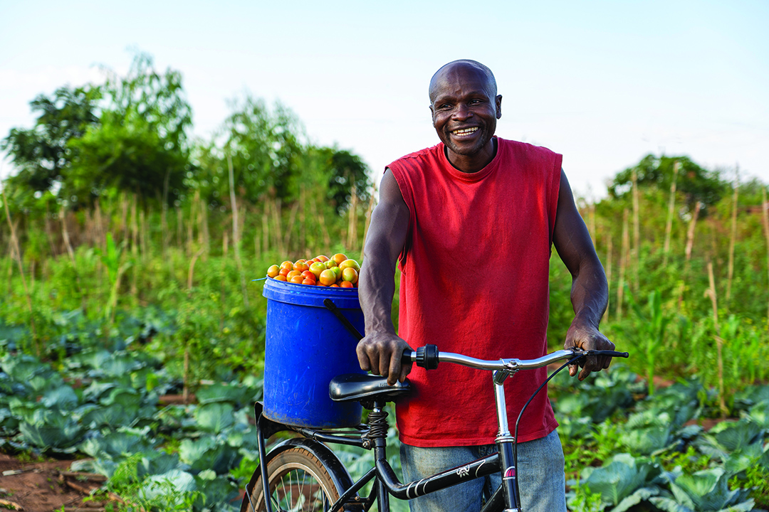 Man smiling while pushing a bike holding a bucket full of fruit