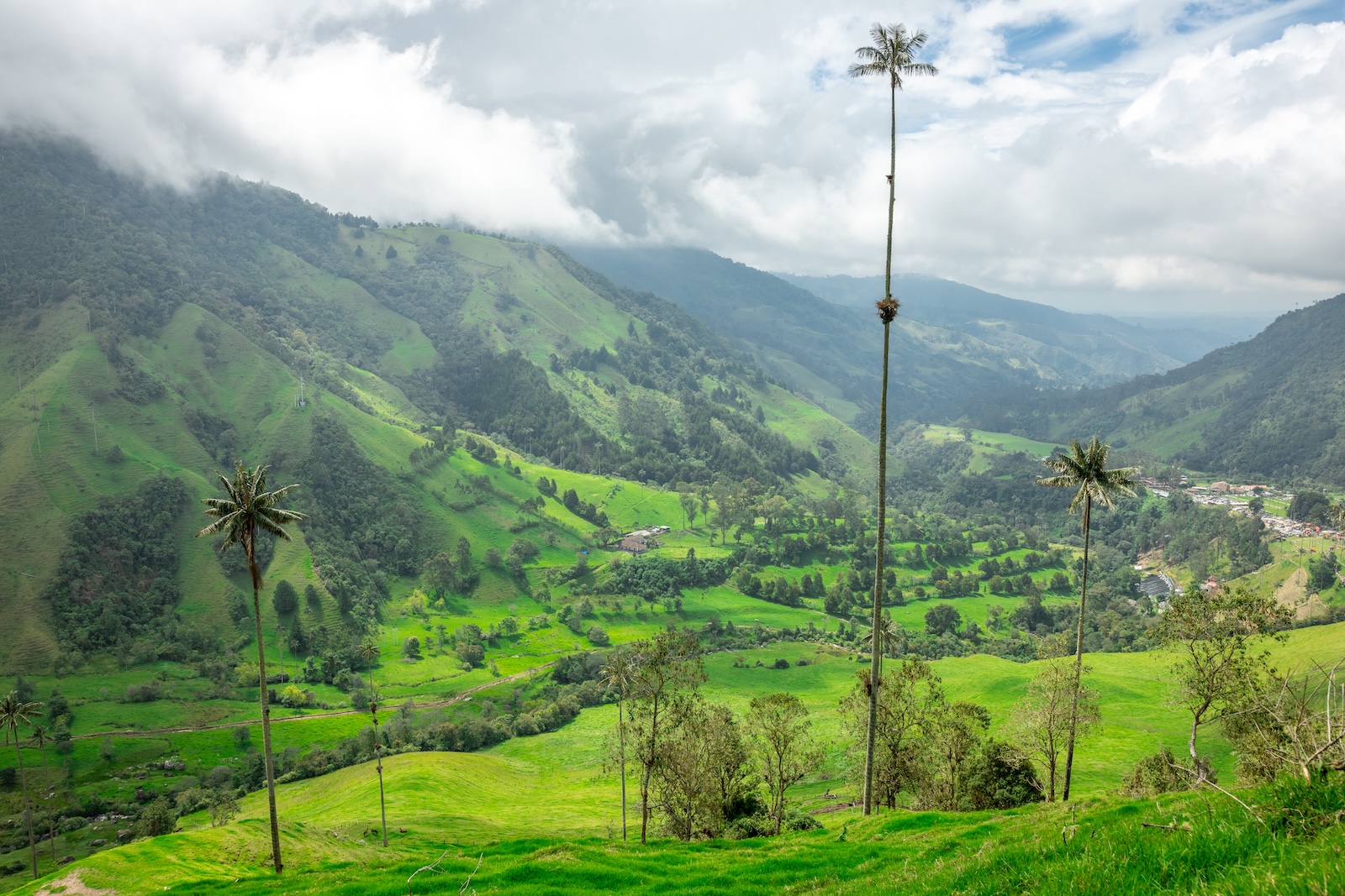 Lush, green Colombia