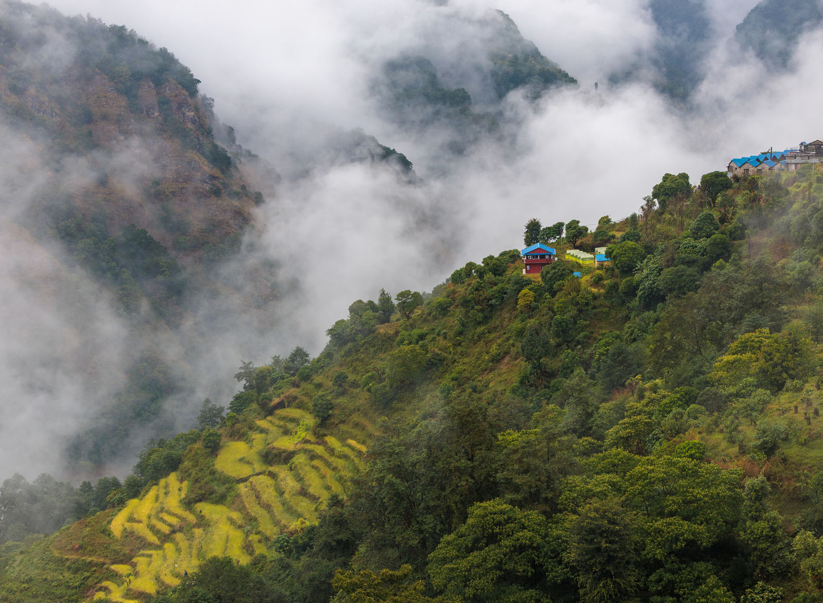 Hills with thick forest and houses on top, with fog in the background