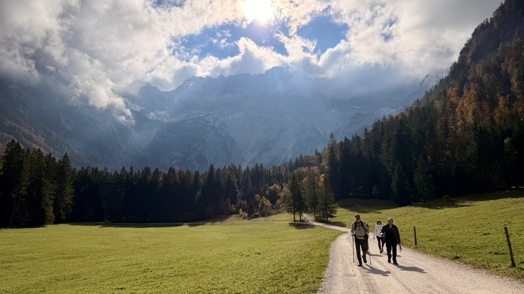 Two people walking on a dirt trail with a large forest in the background