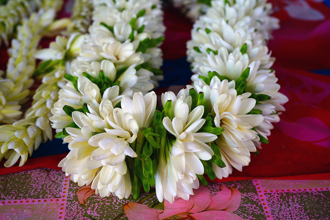 Lei flower necklace on a red table