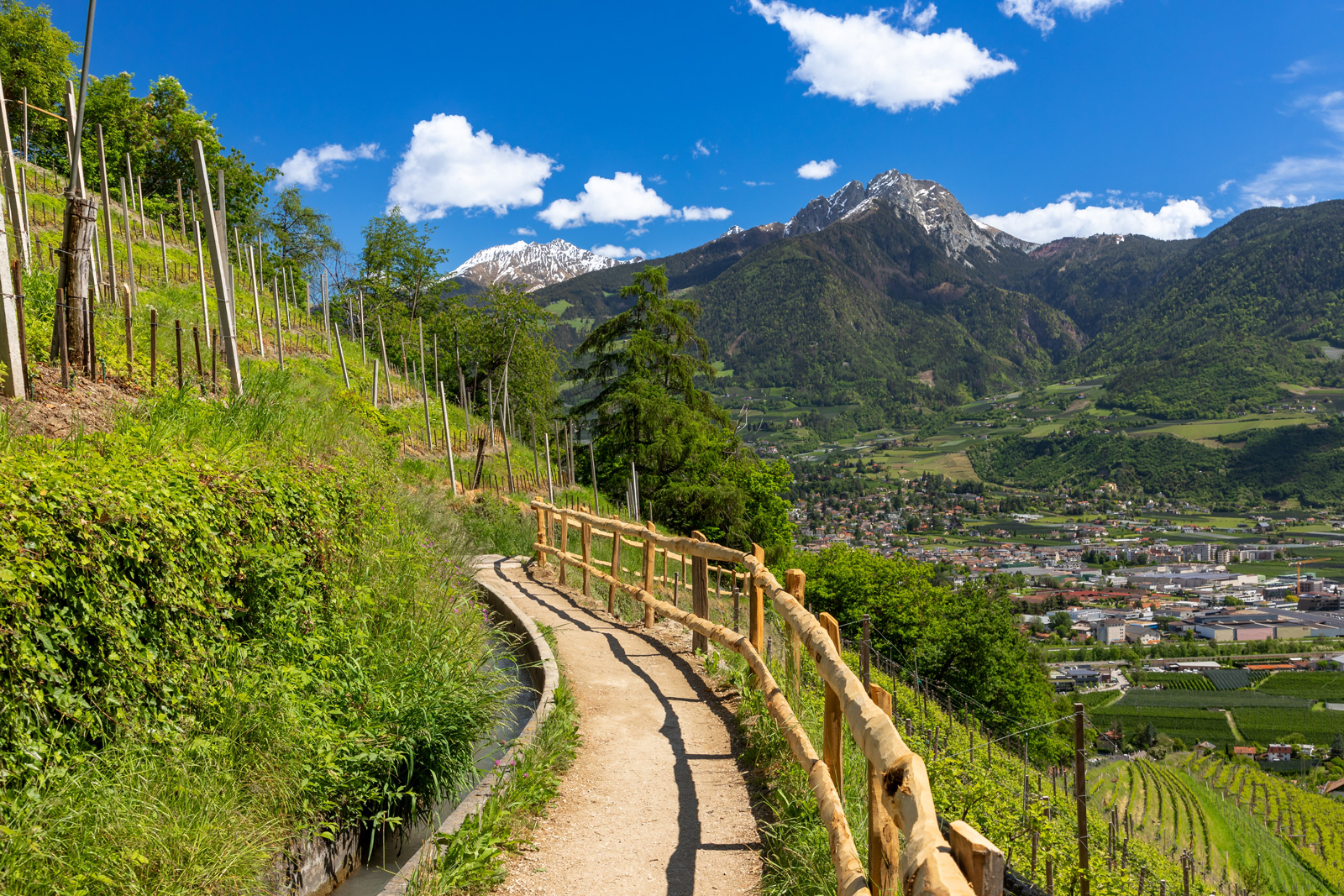 Dirt trail with a wooden handrail on top of a hill