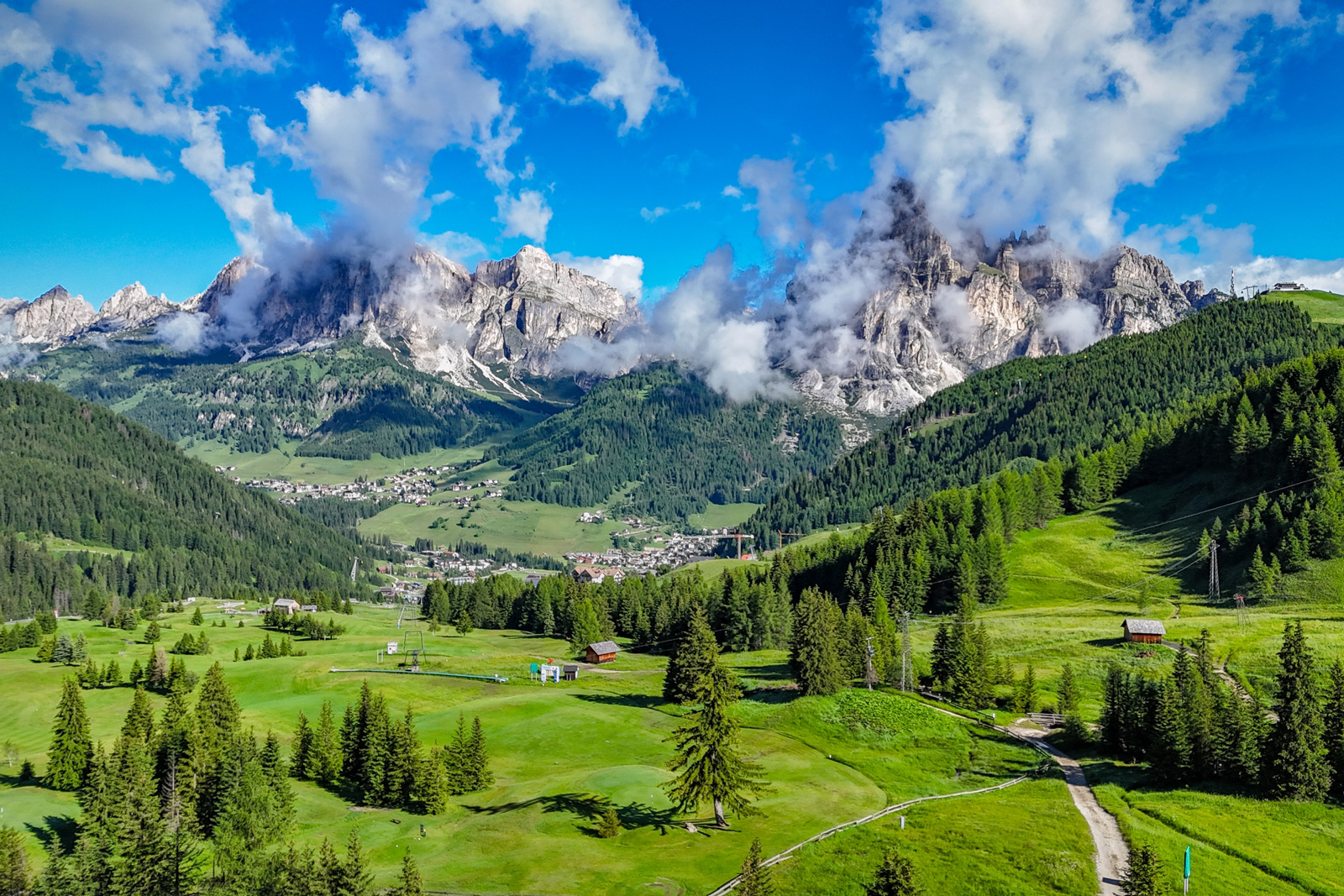Open grass valley with large trees and tall mountains in the distance