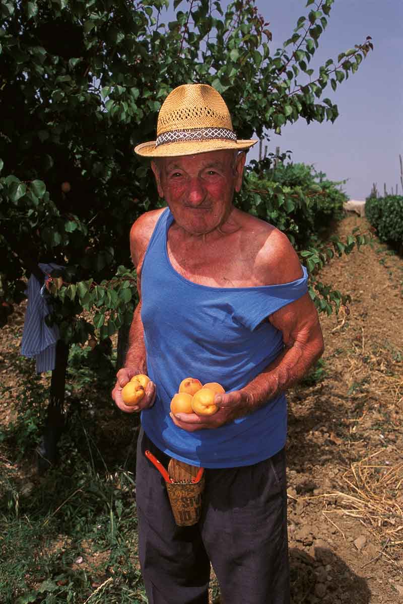 local farmer in Puglia, Italy