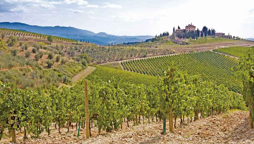 Tuscany, Italy vinyard countryside