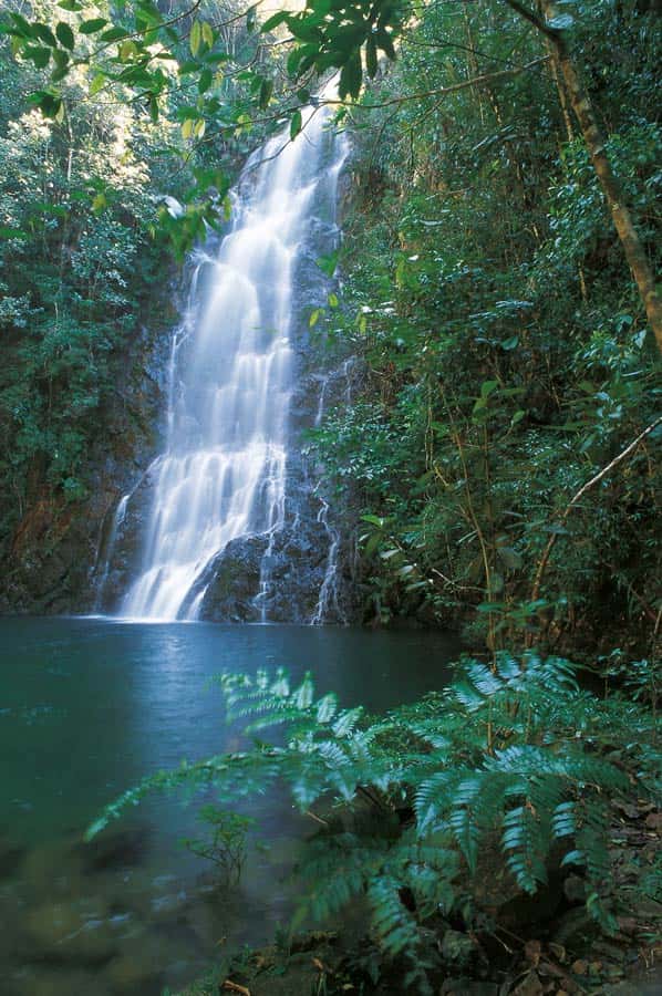 Belize Waterfall