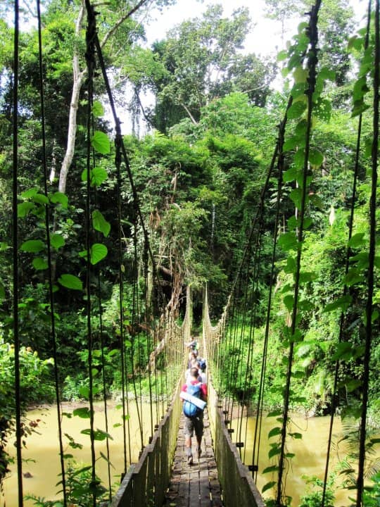 Swing Bridge -Malaysia