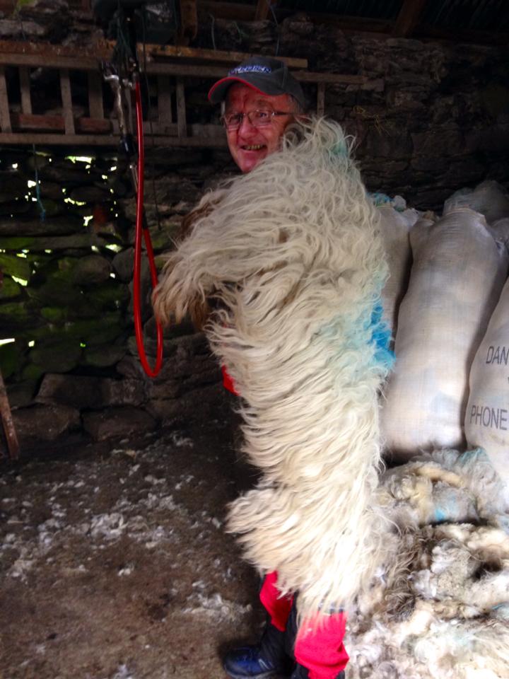Mike Murphy as a Sheep, photo by Chelsey Funis