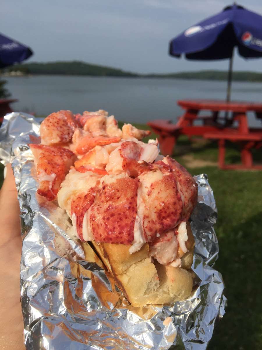 Maine Lobster Roll on a Backroads Trip