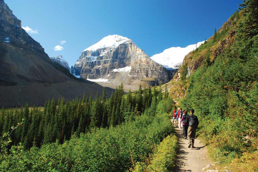 Hiking among trees and mountains in the Canadian Rockies