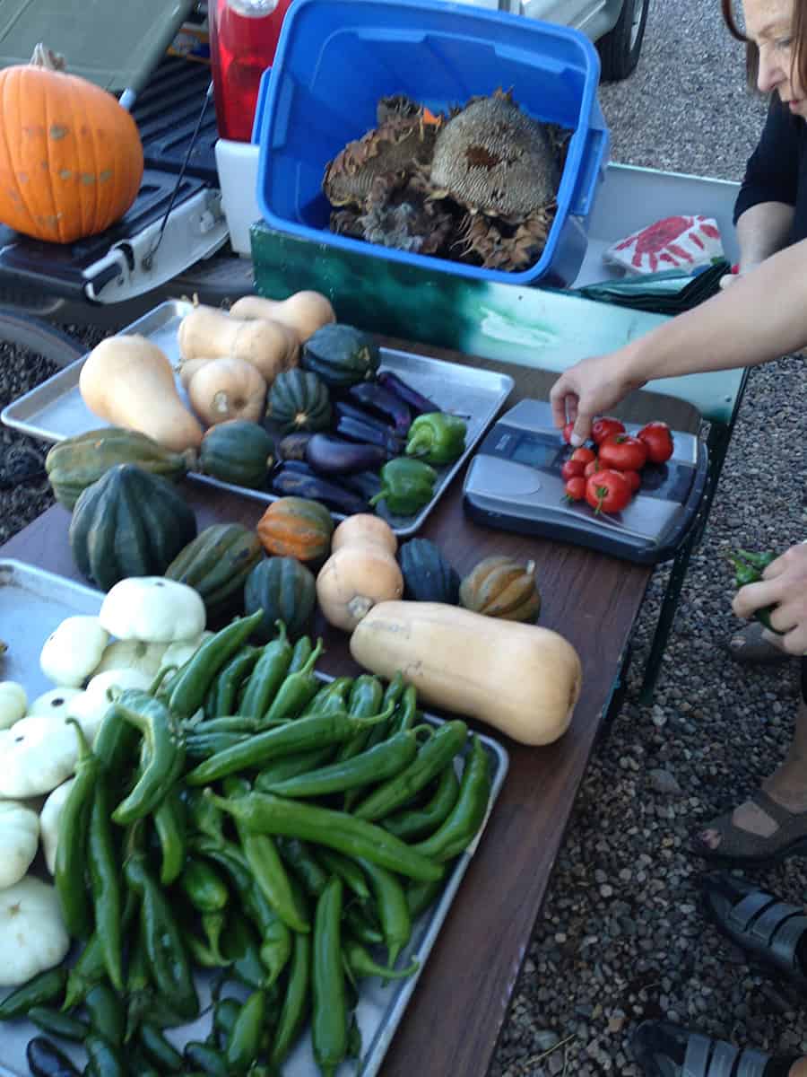 Veyo Farmer's Market