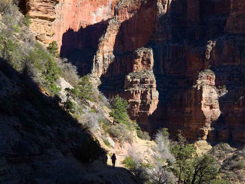 Grand Canyon National Park North Rim
