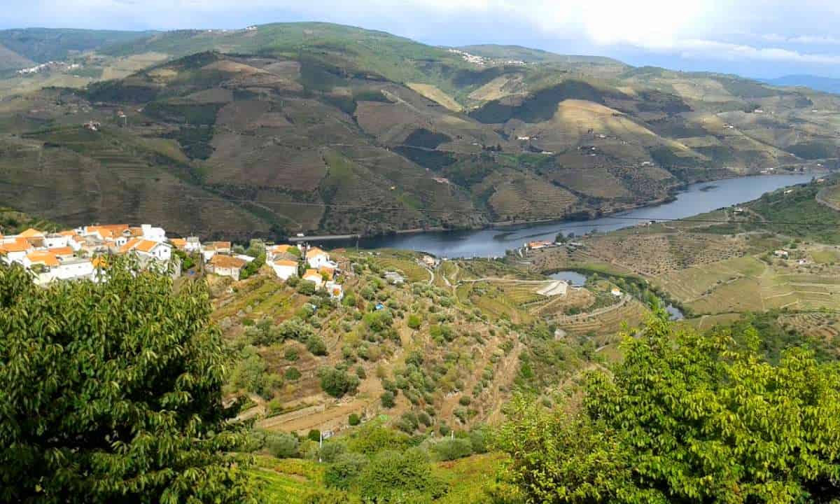 Douro countryside in Potugal