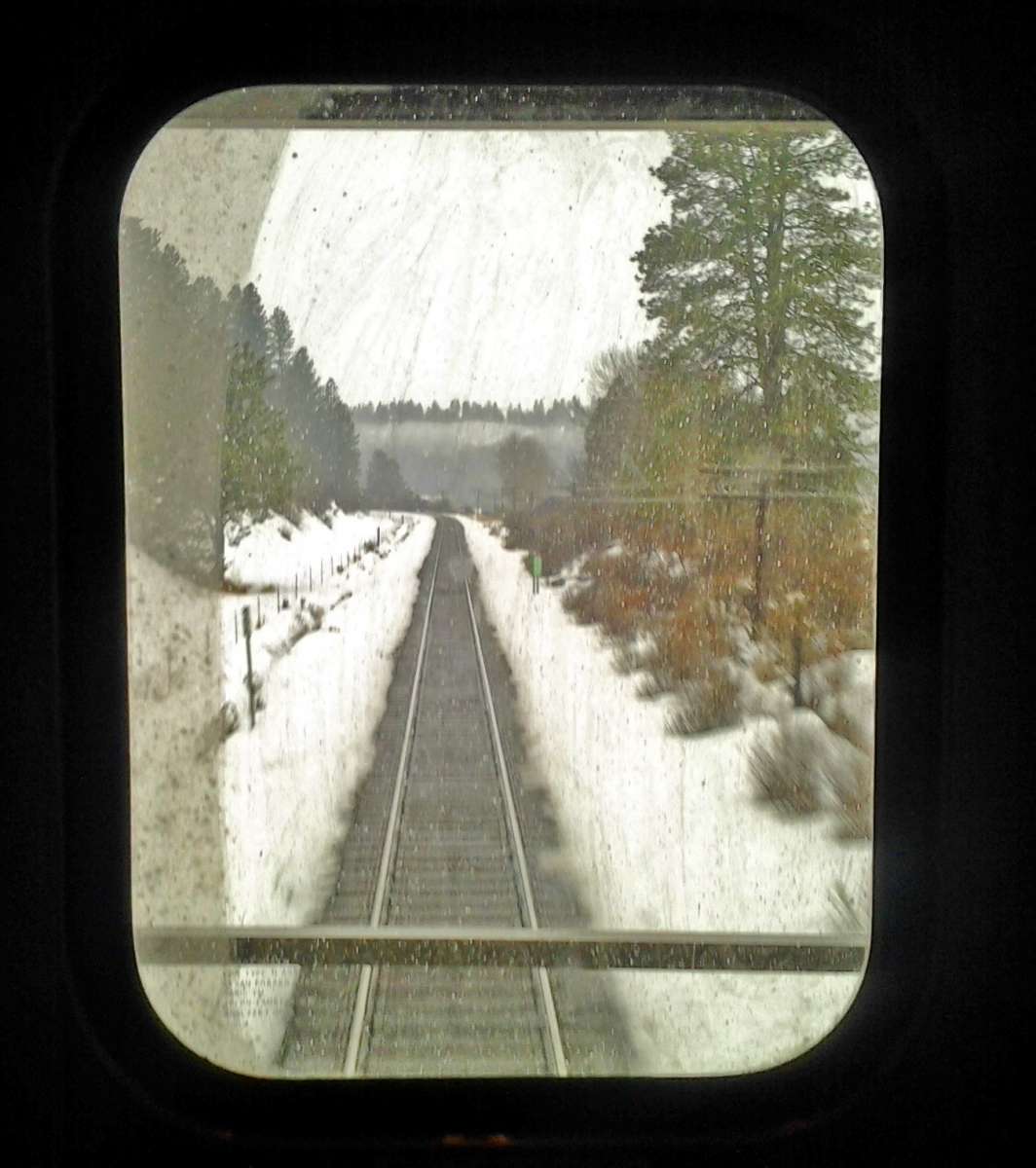 looking out the rear car of an Amtrak train