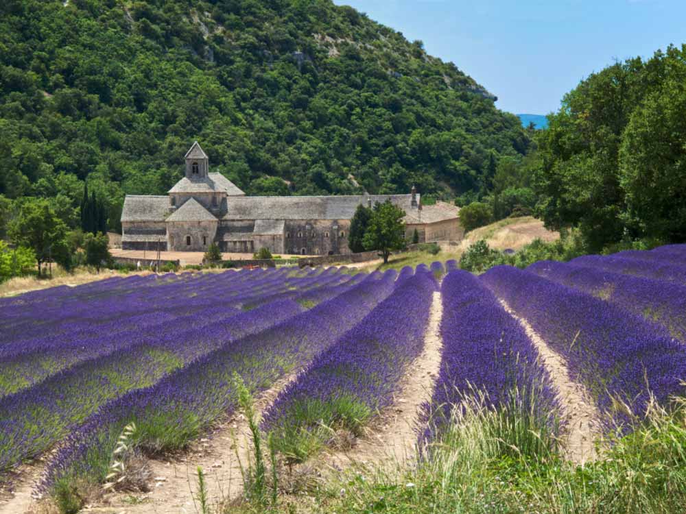 Backroads biking at Sénanque Abbey near the village of Gordes in the département of the Vaucluse in Provence, France