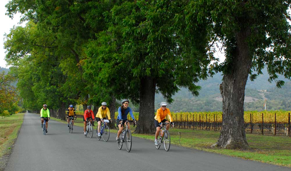 Backroads California Wine Country Bike Tour