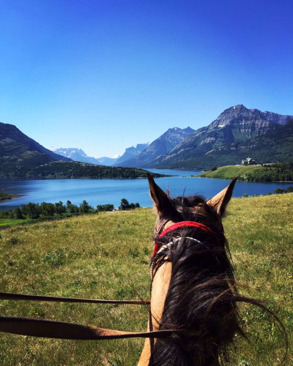 Horse riding in Glacier National Park