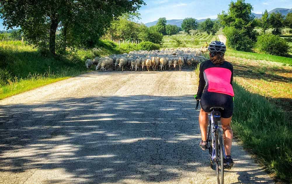 Backroads Biking in Italy