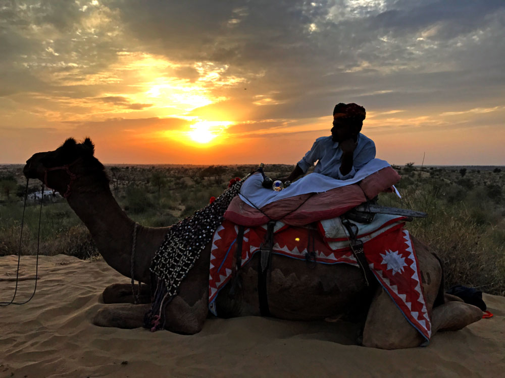 Indian man and his camel at Sunset