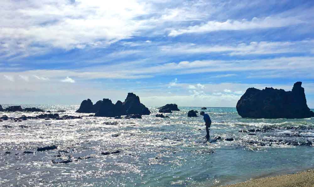 New Zealand Beach