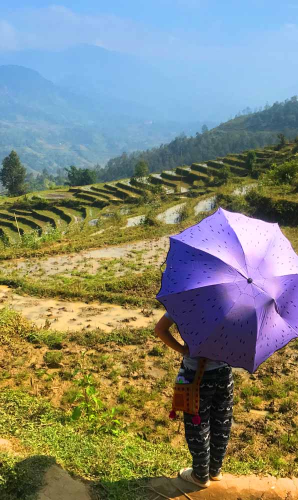 Woman with purple umbrella in Vietnam