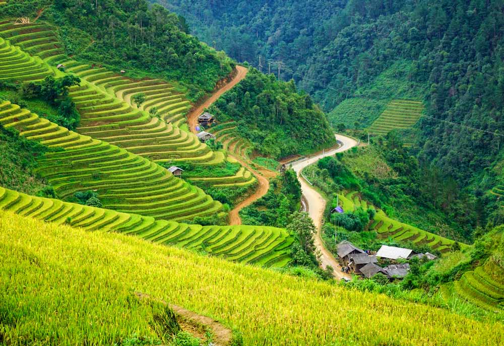 Terraces of Sapa, Vietnam