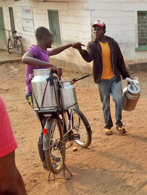 Transporting by bike