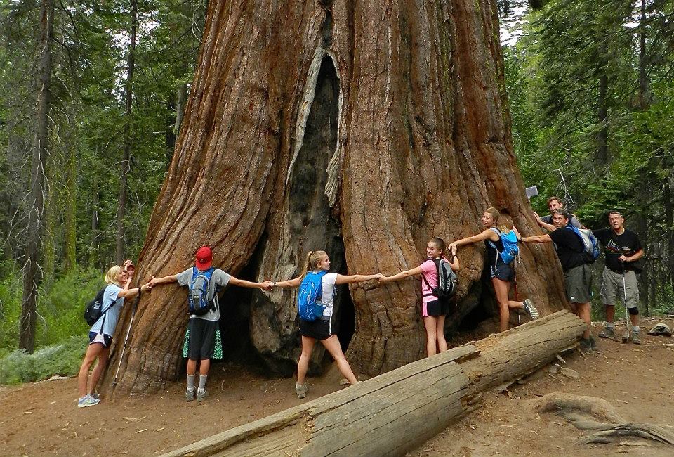 Yosemite for the First Time Backroads