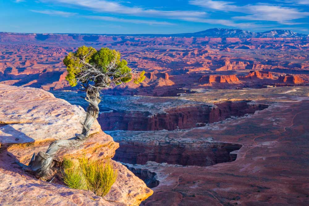 Canyonlands Vista