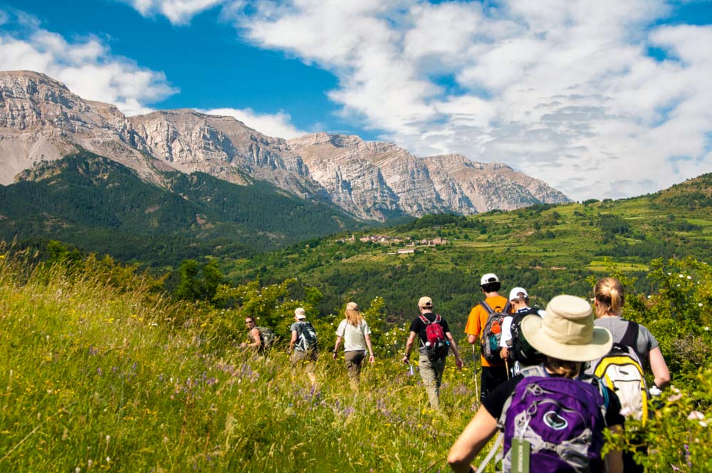 Pyrenees