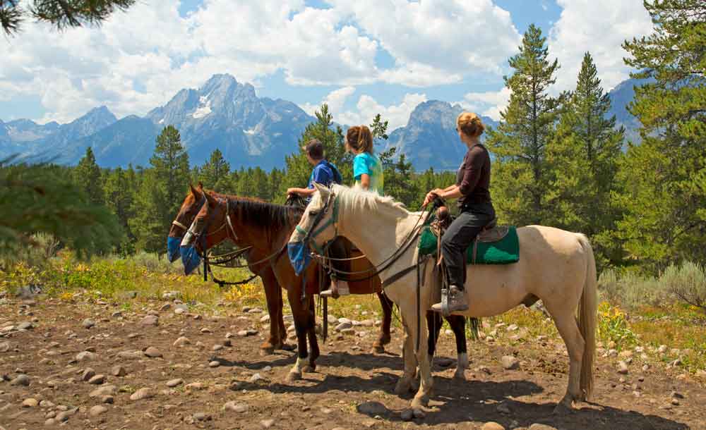 Riding Horses with Backroads in Yellowstone