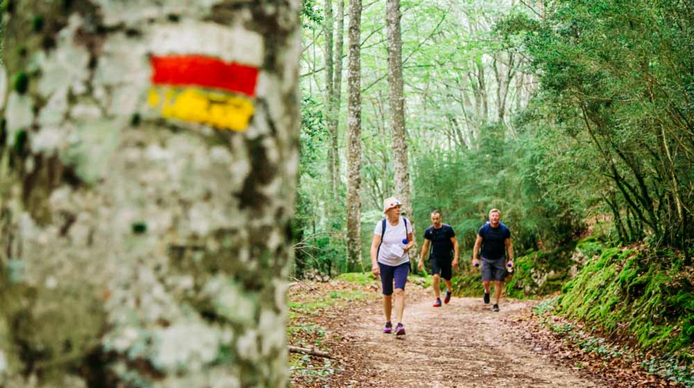 Camino Santiago