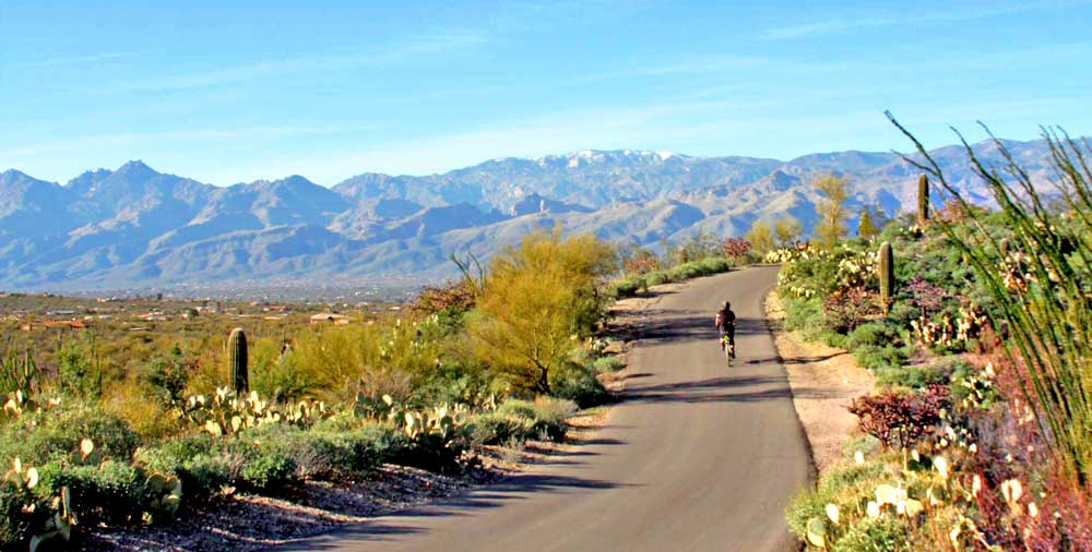 Arizona biking with Backroads