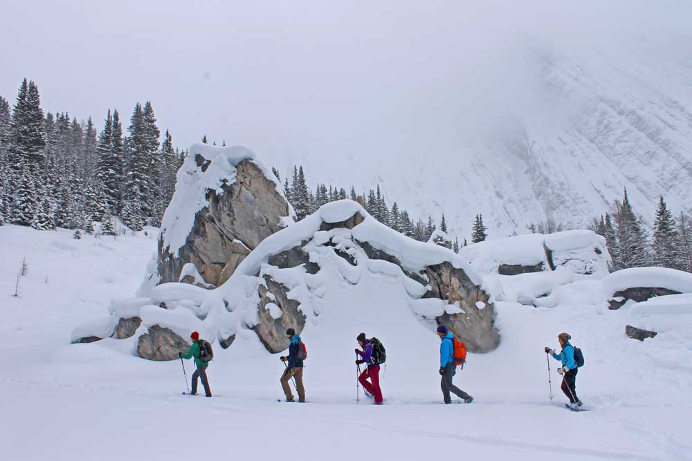 Backroads Group Snowshoeing in the Canadian Rockies