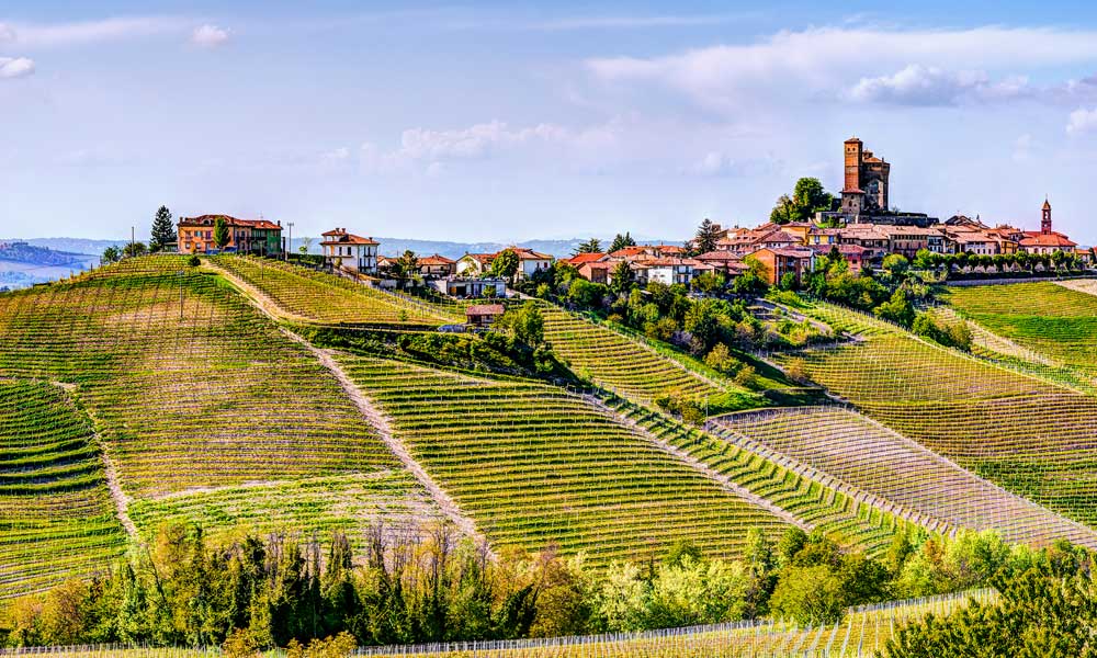 Piedmont Landscape