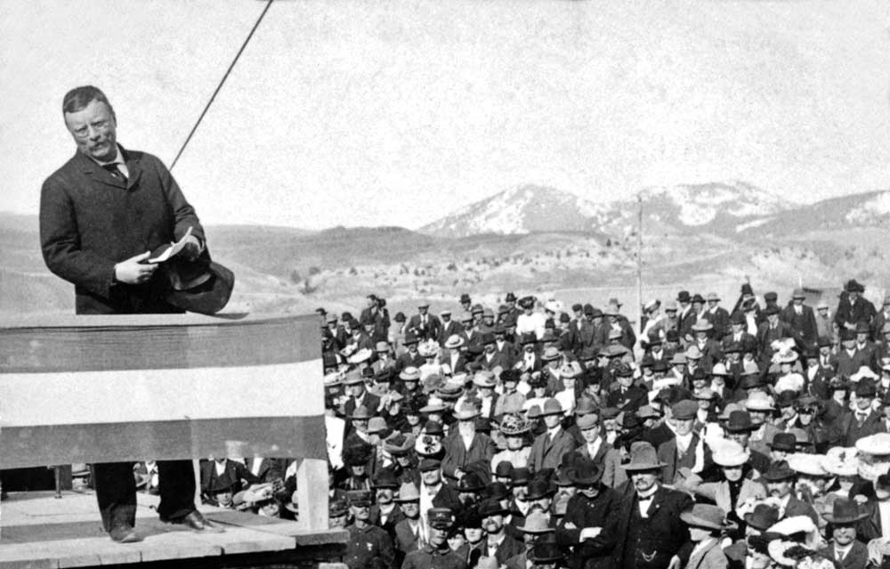 Teddy Roosevelt