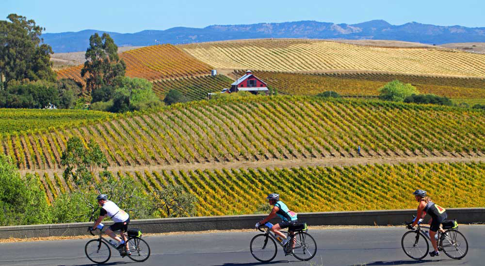 Cycling in California Wine Country with Backroads