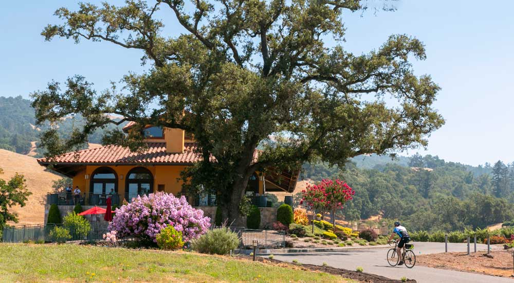 Hanna Winery