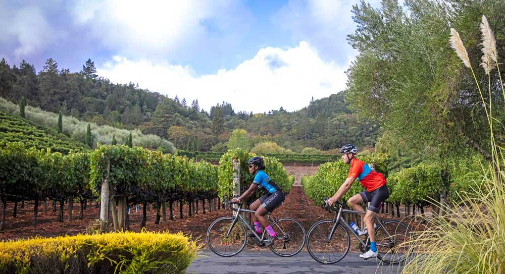 Riding bike through Wine Country with Backroads