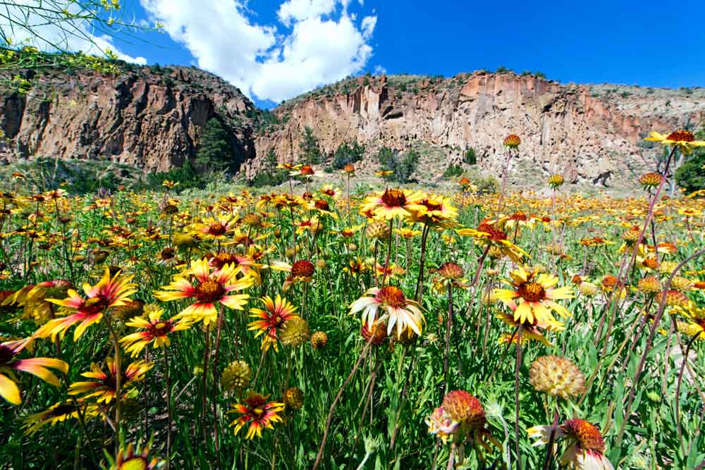 New Mexico